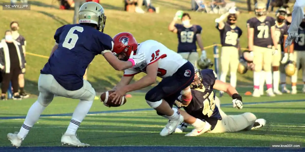 为什么选择我们